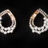 Drop branch covering ear from front and closing behind earrings